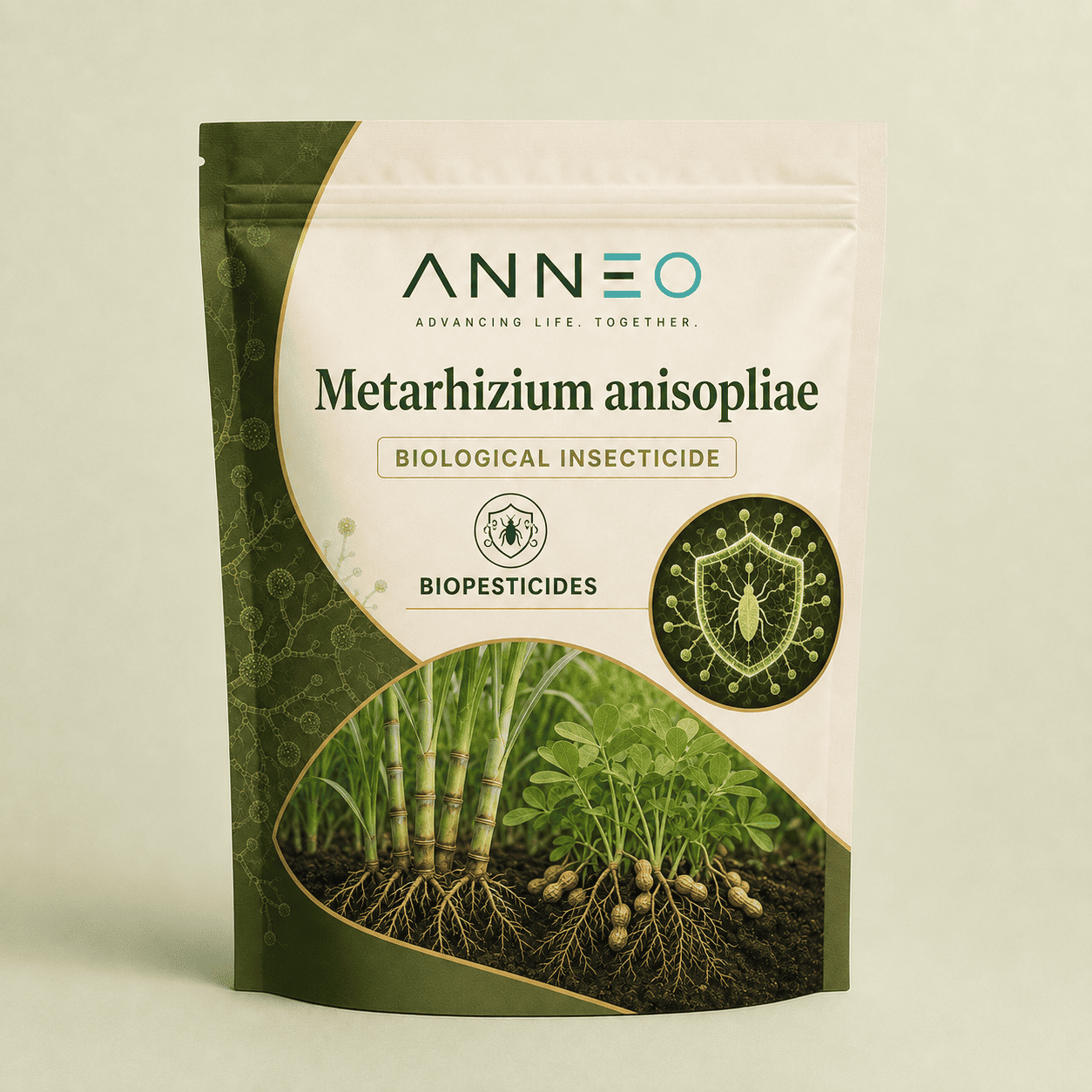 Metarhizium-anisopliae